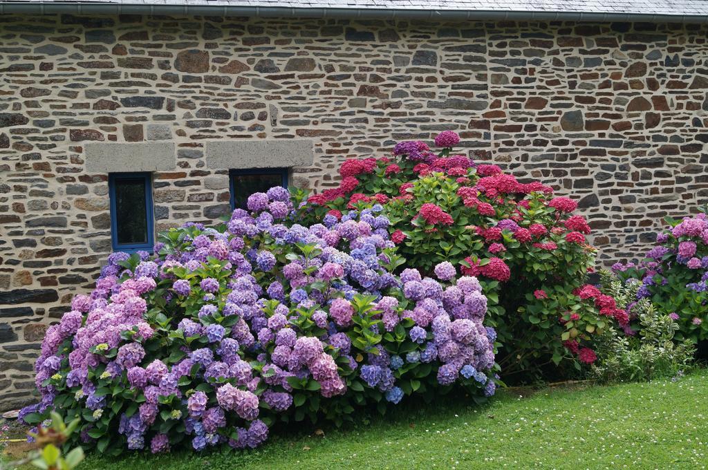 Chambres D'Hotes La Loubatais Dol-de-Bretagne Exterior photo